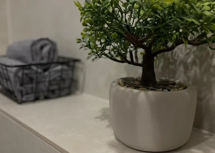 3-zimmer-apartment In Schildesche *